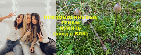 эйфоретик Балахна