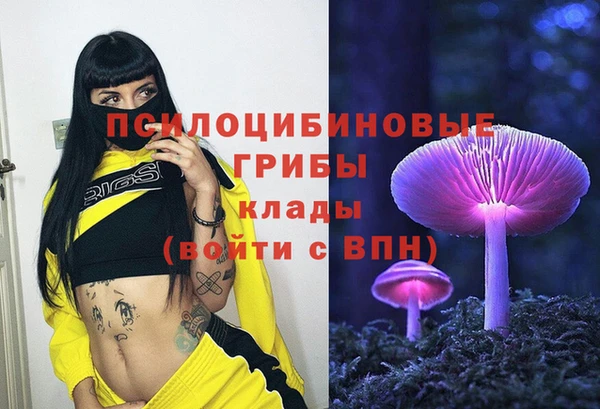 эйфоретик Балахна