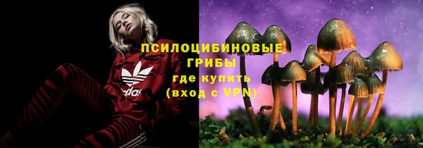 эйфоретик Балахна