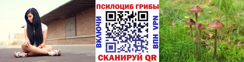 Псилоцибиновые грибы ЛСД  МЕГА как войти  Орлов 